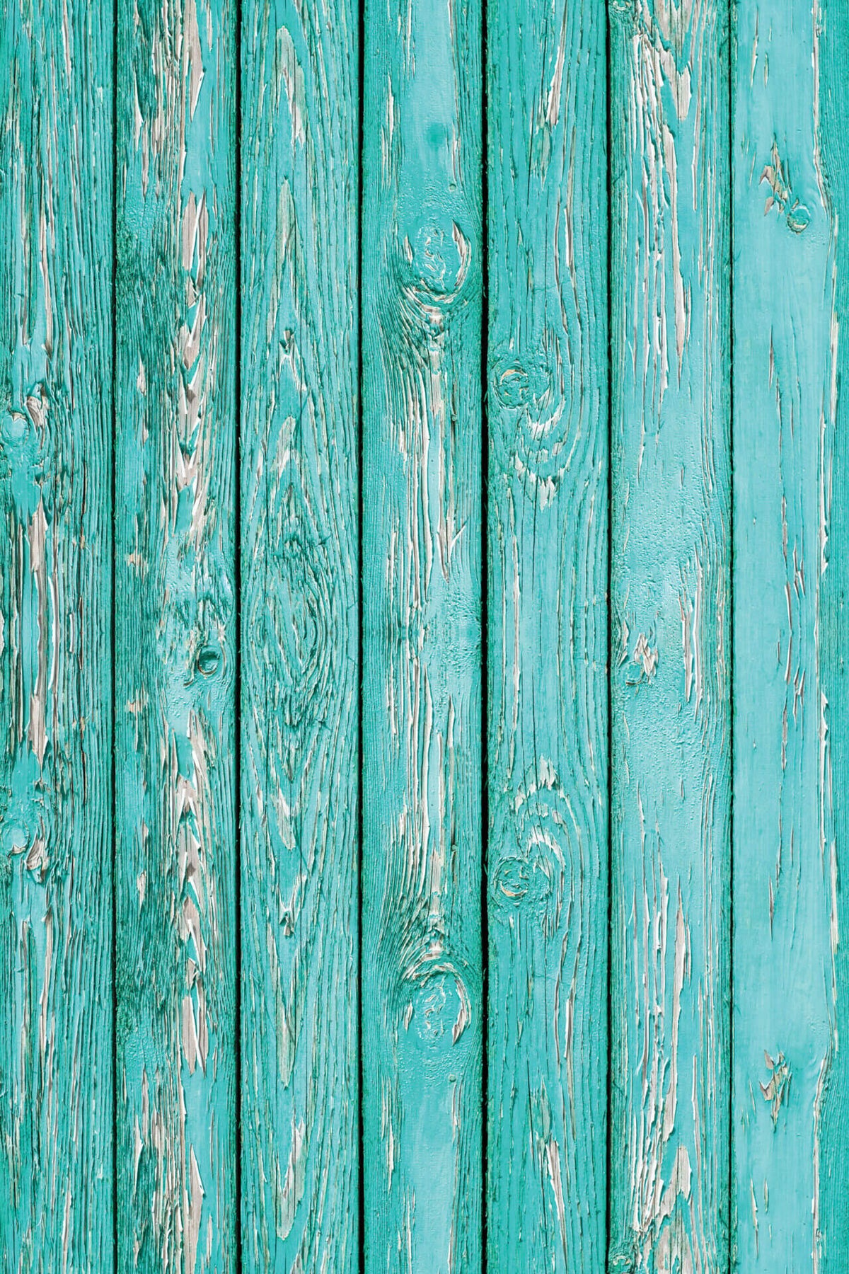 Baywatch house - wood backdrop