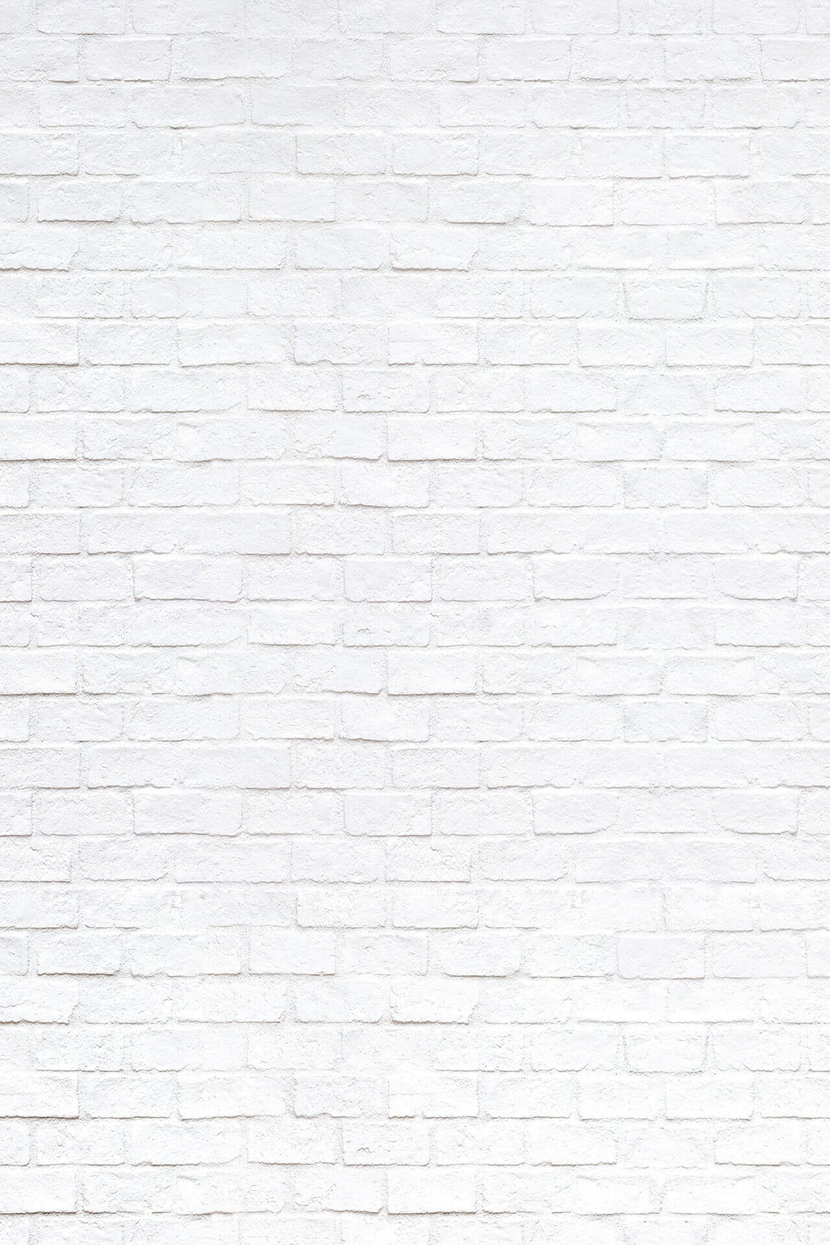 The wall