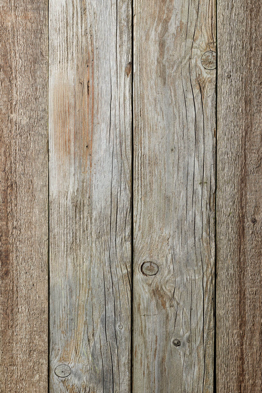 Tree house - wood backdrop